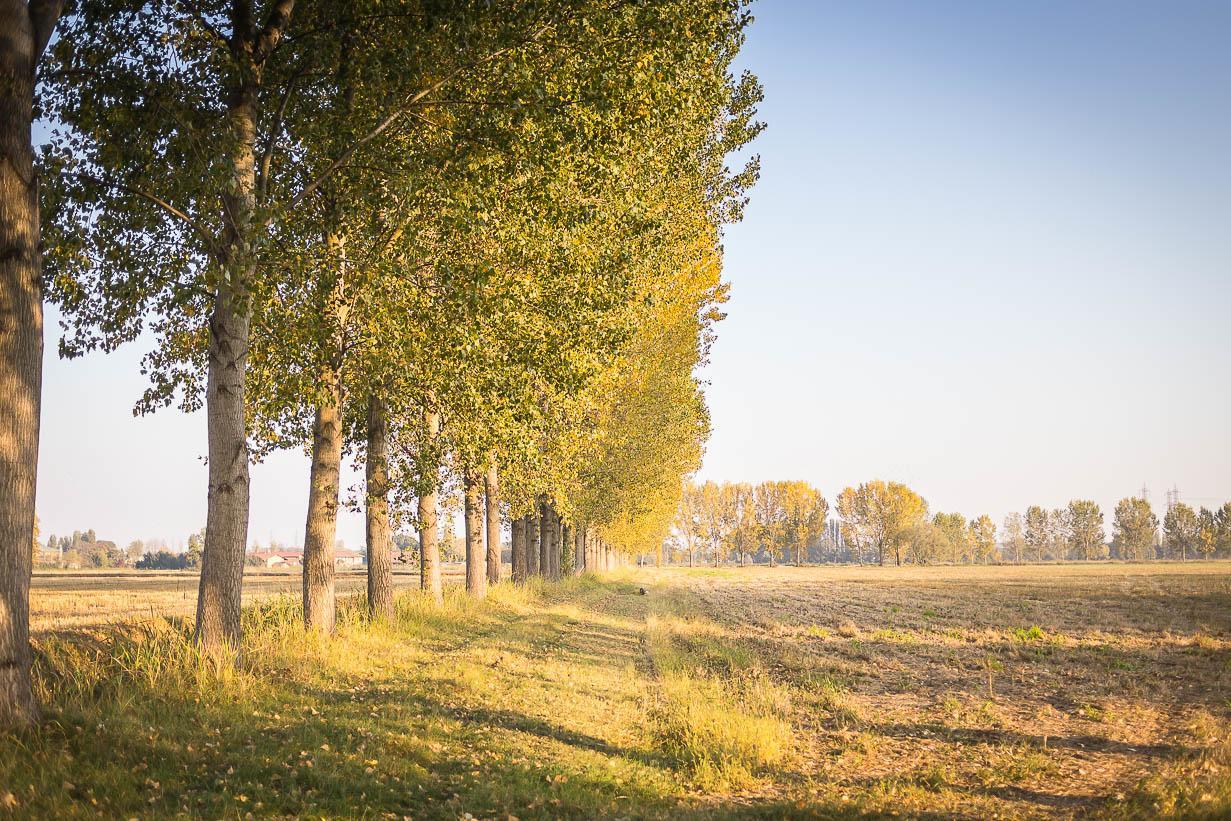 Cascina Gaggioli Villa Milánó Kültér fotó